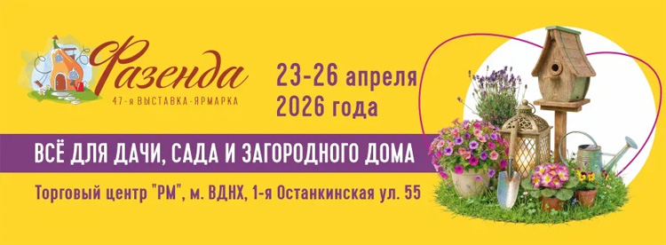 Фазенда 2026